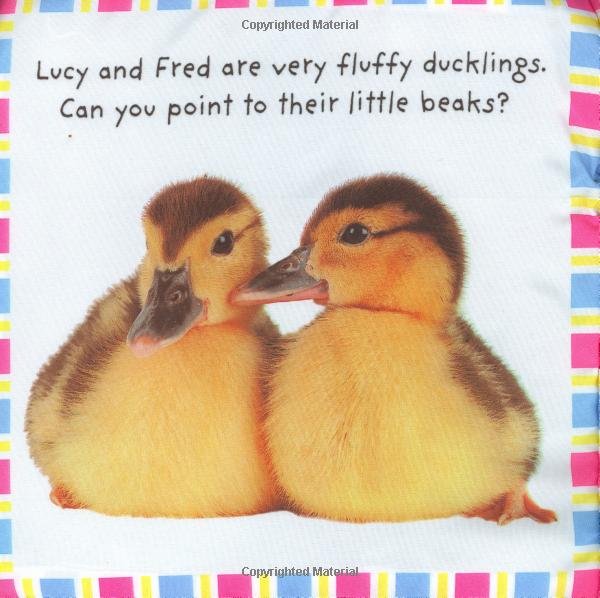 หนังสือผ้า หนังสือภาษาอังกฤษเด็กเล็ก Baby Bunny จาก Priddy Books