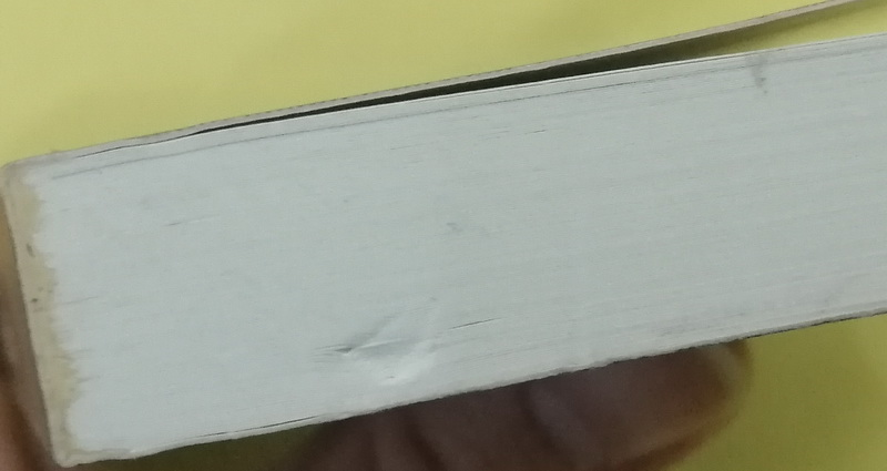 เหยี่ยวมอลต้า (The Maltese Falcon) (มีตำหนิ กรุณาอ่านรายละเอียด)