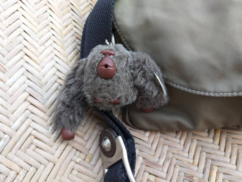 กระเป๋าสะพาย Kipling ของแท้