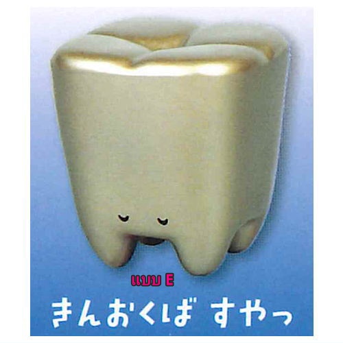 กาชาปองโมเดลฟัน Good Evening Teeth