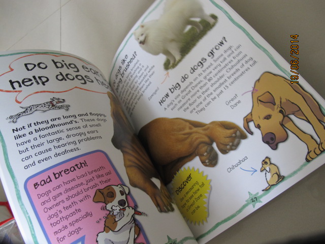 Miles Kelly : First Questions And Answers - Why do puppies chew? หนังสือคำถามแรกและคำตอบ - ทำไมลูกสุนัขชอบกัด