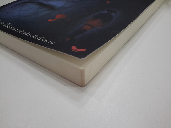 สยองขวัญ (Japanese Tales of Mystery and Imagination)