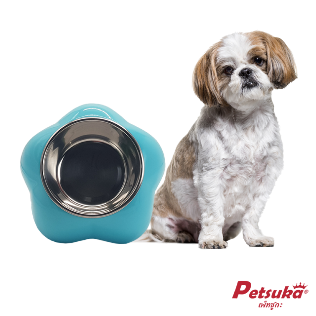 ชามอาหารสัตว์เลี้ยง Petsuka สำหรับสุนัขและแมว รูปดอกไม้ สีฟ้า