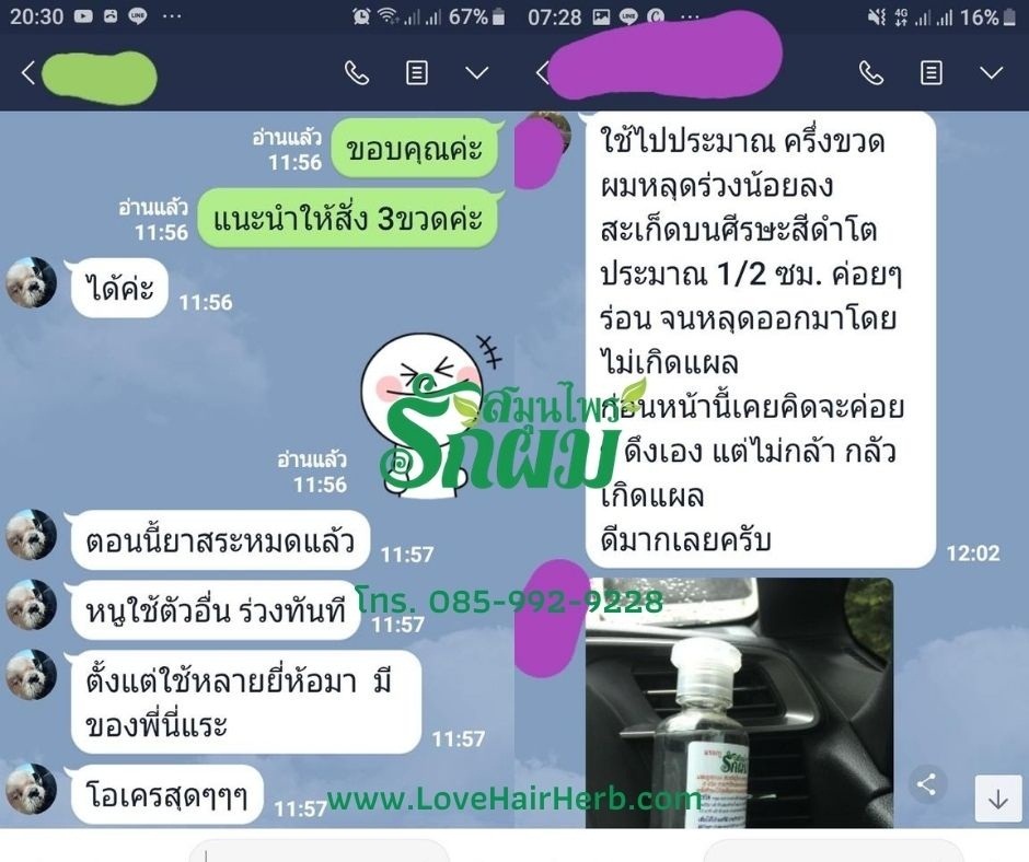 แชมพูสมุนไพรรักผม 250ml x 12 ขวด ยาสระผมแก้รังแคเชื้อรา แก้ผมร่วง แก้ปัญหาผมมัน ผมคัน ชะลอผมหงอก ช่วยให้ผมเกิดใหม่ ไม่ต้องใช้ครีมนวดผม อุดมด้วยสมุนไพรธรรมชาติถึง 9 ชนิด ใช้ได้ทุกวัย สระได้ทุกวัน ปราศจากสารเคมีที่เป็นอันตราย