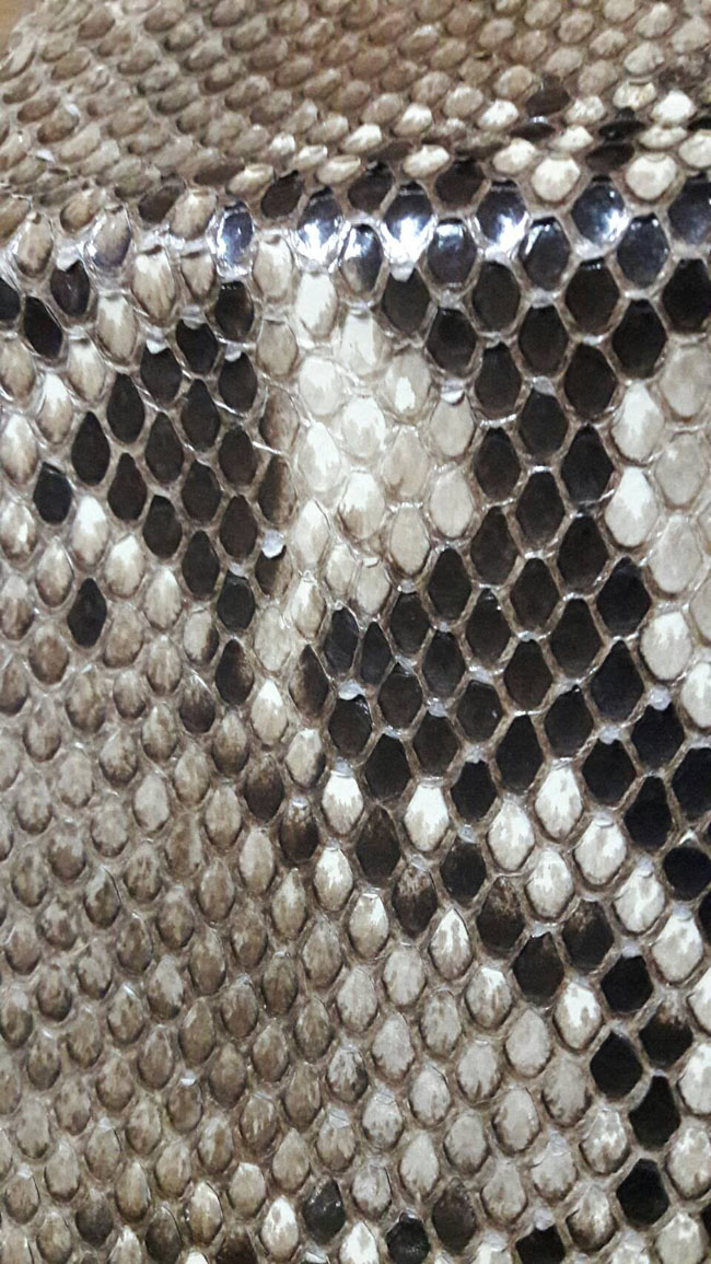 กระเป๋าสตางค์ Genuine Python หลามหนัง หนังแท้ทั้งใบ