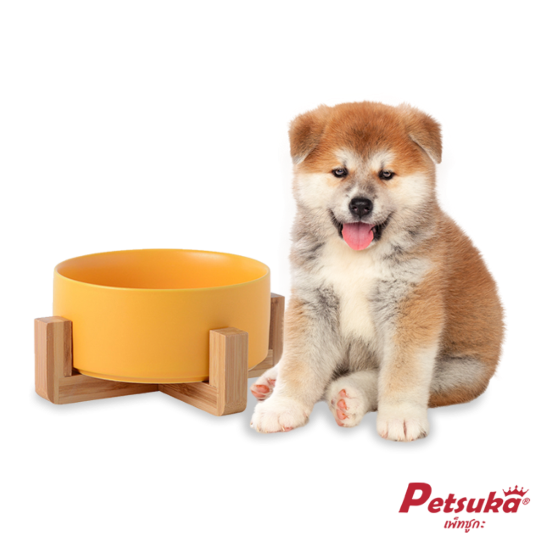 ชามเซรามิคสัตว์เลี้ยง Petsuka พร้อมฐานรองสไตล์ญี่ปุ่น สำหรับสุนัขและแมว สีเหลือง 850 ml