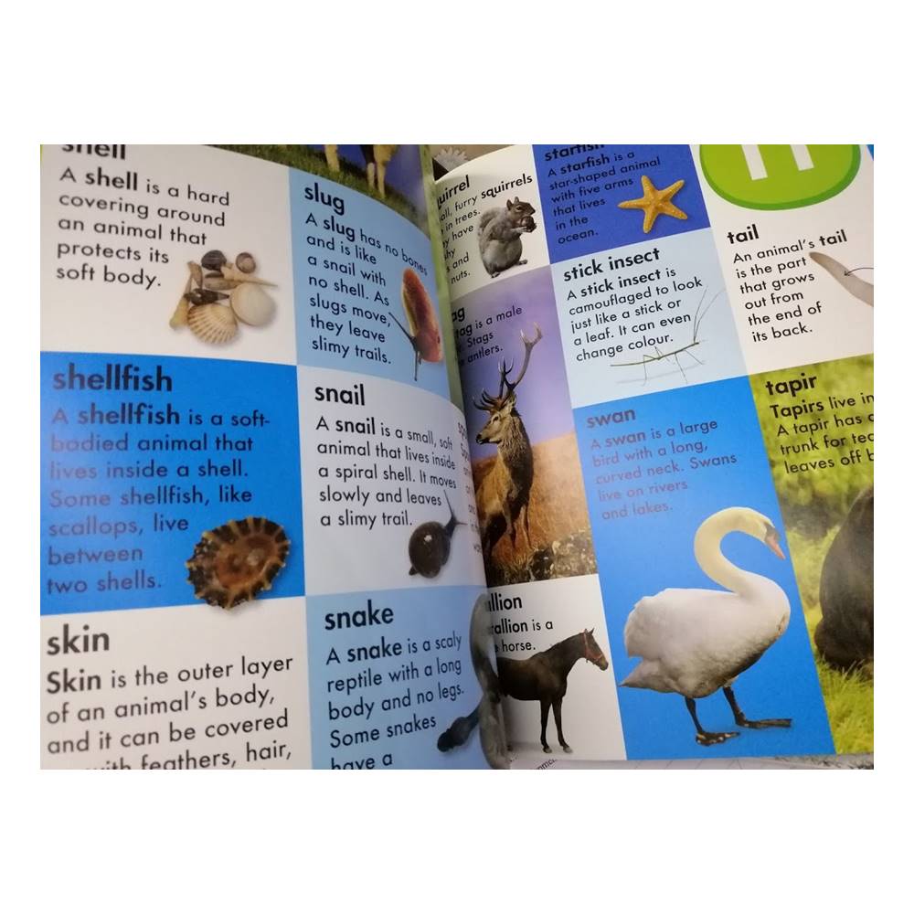 Animal Dictionary : ดิกชันนารีสำหรับเด็ก ภาพสัตว์ ภาพจริง สีสวย คมชัด Promotes early referencing skills by Make Believe Ideas