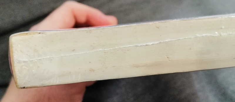 ฮวงจุ้ยบ้านดี ชีวิตนี้มีชัยไปกว่าครึ่ง (มีตำหนิ โปรดอ่านรายละเอียด)