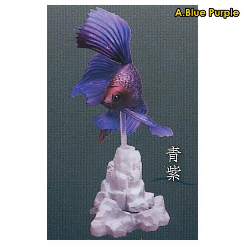 กาชาปองฟิกเกอร์ปลากัด Fighting Fish ~Betta~ 2