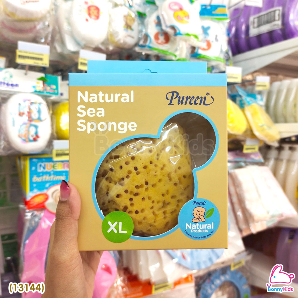 (13144) Pureen (เพียวรีน) Natural Sea Sponge ฟองน้ำธรรมชาติแท้ 100% ไซส์ XL