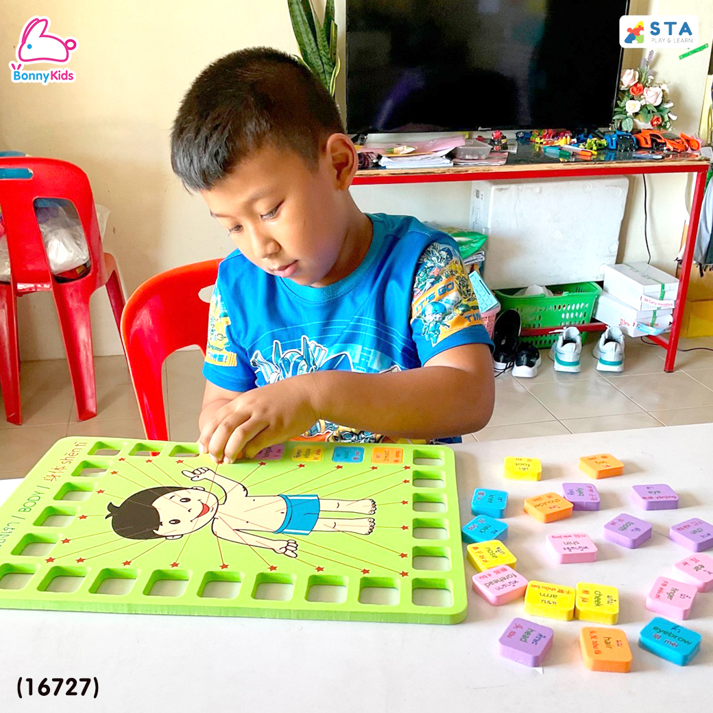 (16727) ASTA (แอสต้า) ชุดคำศัพท์ร่างกาย บล็อกต่อคำศัพท์ ภาษาอังกฤษ ภาษาจีน ภาษาไทย 26 คำ (คละสี)