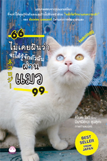 ไม่เคยฝันว่าจะได้รู้จักตัวฉันผ่านแมว