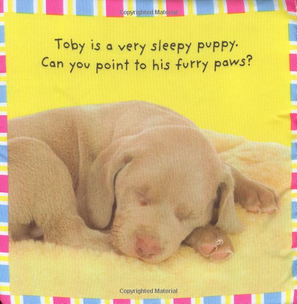 หนังสือผ้า หนังสือภาษาอังกฤษเด็กเล็ก Baby Bunny จาก Priddy Books