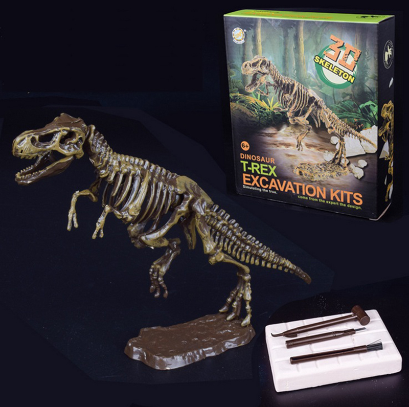 ของเล่นวิทยาศาสตร์ ชุดขุดฟอสซิลไดโนเสาร์ ชิ้นส่วนตัวต่อ 3D Skeleton Excuvation Kits