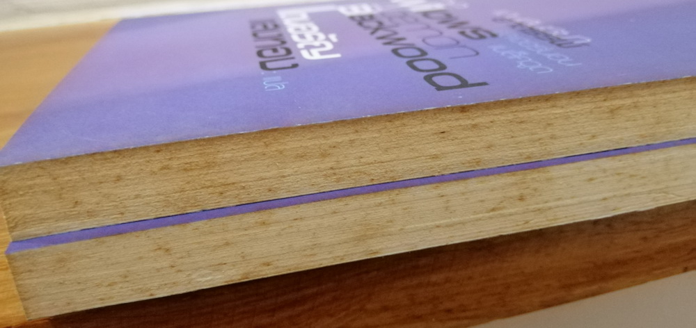 แดนสนธยาอาถรรพ์ (The Willows) (หนังสือมีตำหนิ กรุณาอ่านรายละเอียด)