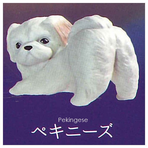 กาชาปองฟิกเกอร์น้องหมาหันมามอง