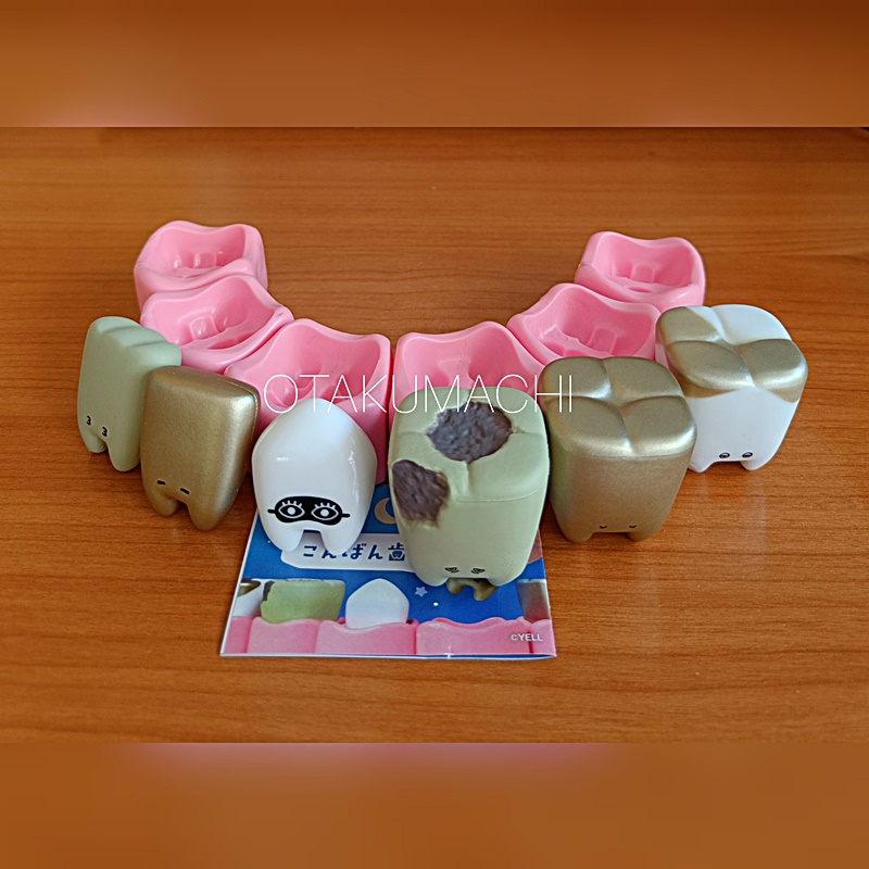 กาชาปองโมเดลฟัน Good Evening Teeth