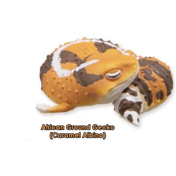 กาชาปองฟิกเกอร์ตุ๊กแก African Ground Gecko and Crested Gecko Sleep Series