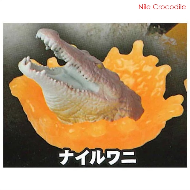 กาชาปองฟิกเกอร์ส่วนหัวจระเข้ The Scariest! Dangerous Creature Figure ~Crocodile~