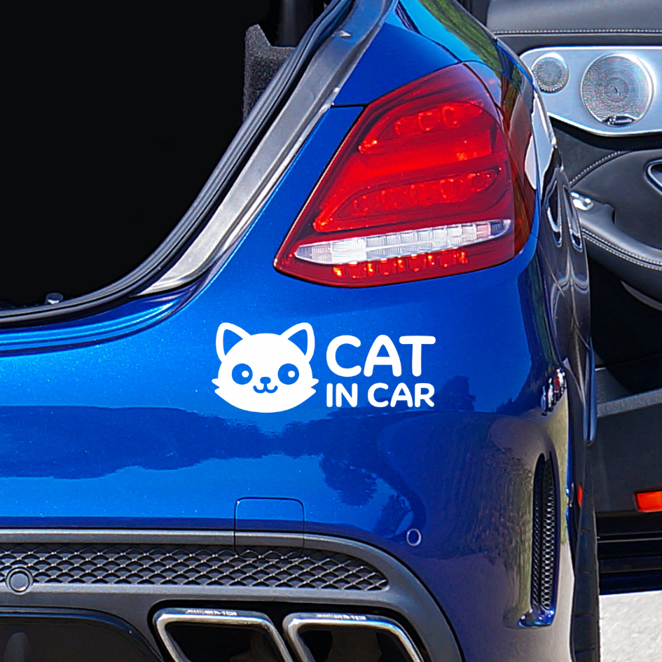 สติ๊กเกอร์ Cat in Car ในรถมีแมว PVC OUTDOOR กันน้ำ ไดคัทสีขาว น่ารัก