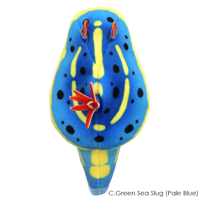 กาชาปองตุ๊กตาทากทะเล Sea Slug Plush Toy 2