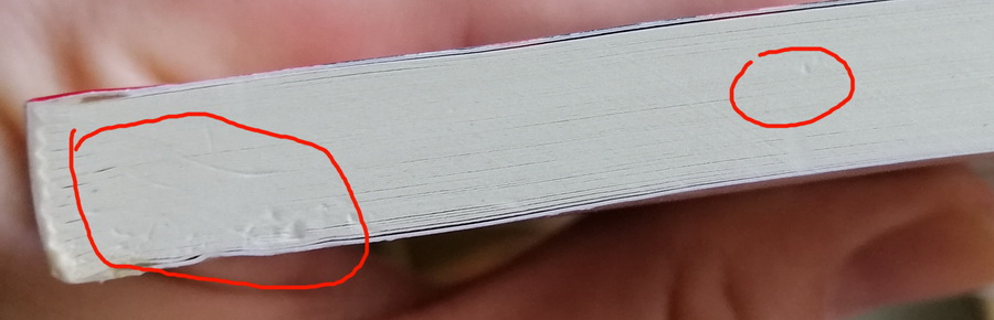 คุยกับลูกสาวเรื่องเศรษฐกิจ ประวัติศาสตร์ย่อของทุนนิยม (มีตำหนิ โปรดอ่านรายละเอียดก่อนสั่ง)