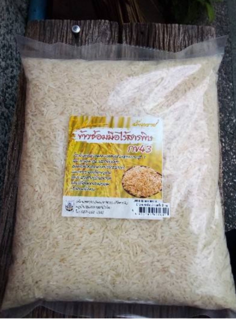 ☺ ข้าวซ้อมมือ ไร้สารพิษ กข 43 (บ้านราช) ออแกนิค นน.2 กิโล ใครไม่ถนัดกินข้าวกล้อง ลองเริ่มเปลี่ยนมากิน กข 43 ก่อน ช่วยเรื่องสุขภาพได้ และเหมาะกับคนเป็นเบาหวาน