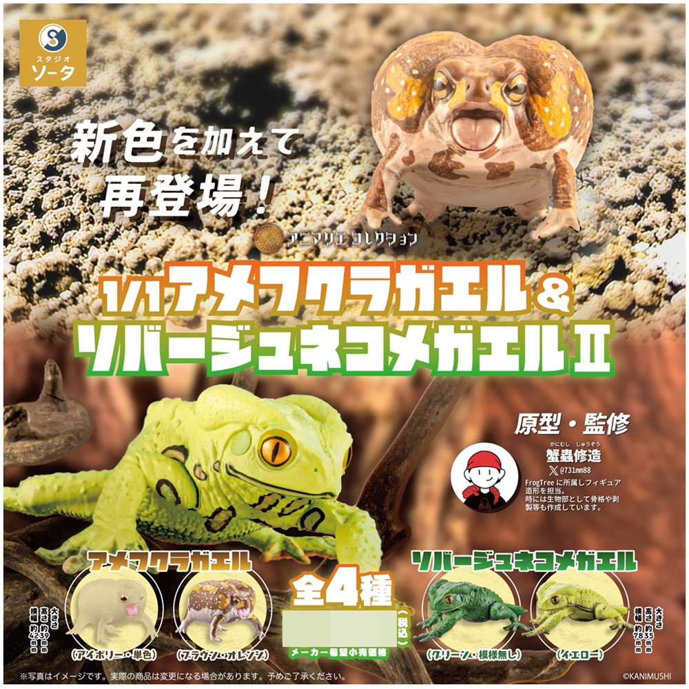 กาชาปองฟิกเกอร์กบ สเกล 1/1 Common Rain Frog & Waxy Monkey Tree Frog 2