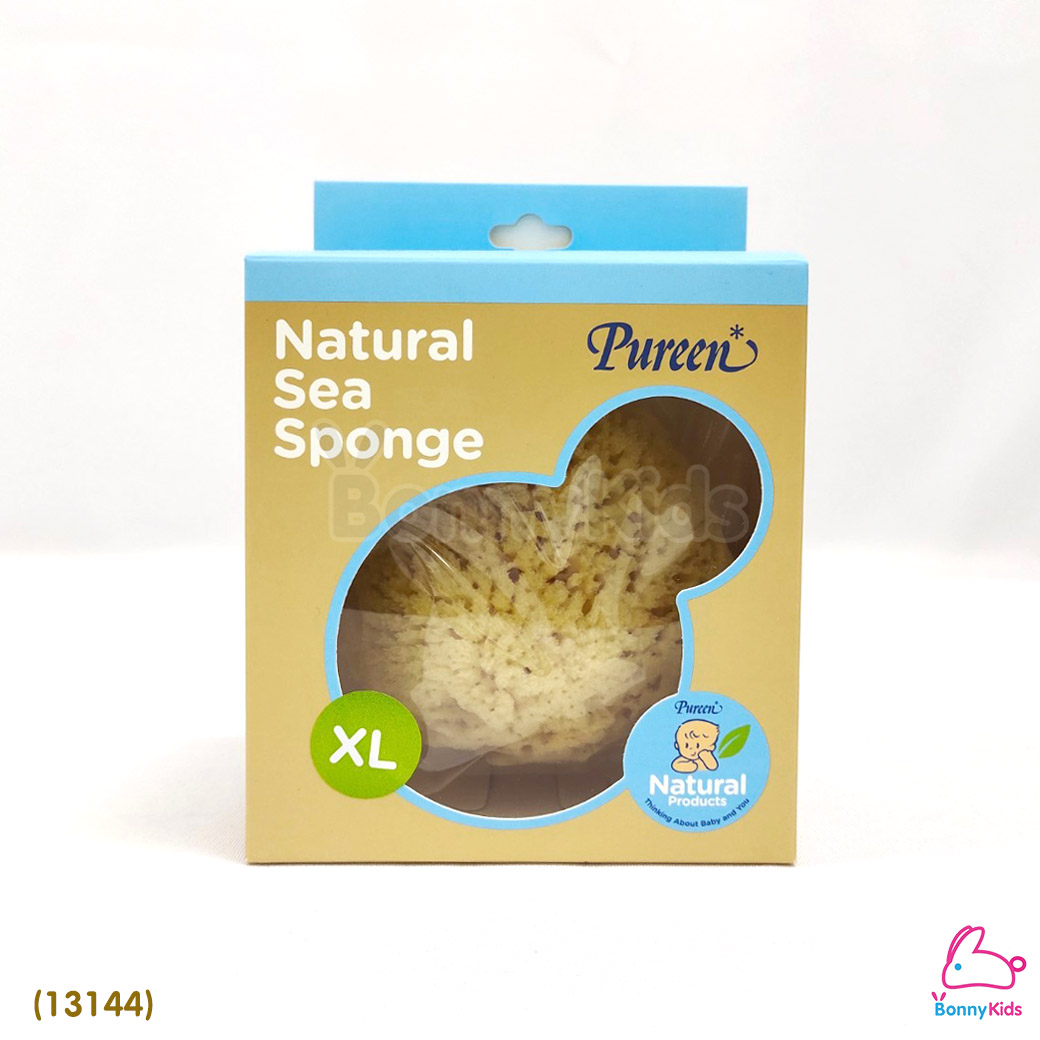 (13144) Pureen (เพียวรีน) Natural Sea Sponge ฟองน้ำธรรมชาติแท้ 100% ไซส์ XL