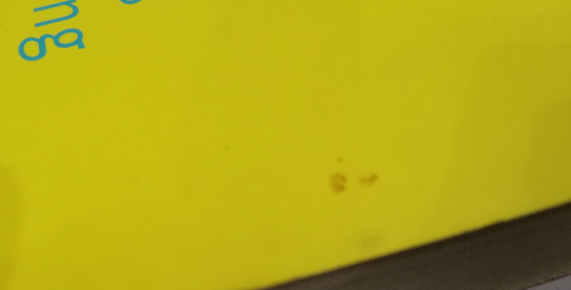 บันทึกของเจ้าหญิง ตอน บันทึกเจ้าหญิงฝึกหัด (Princess in Training) (The Princess Diaries Series #6)