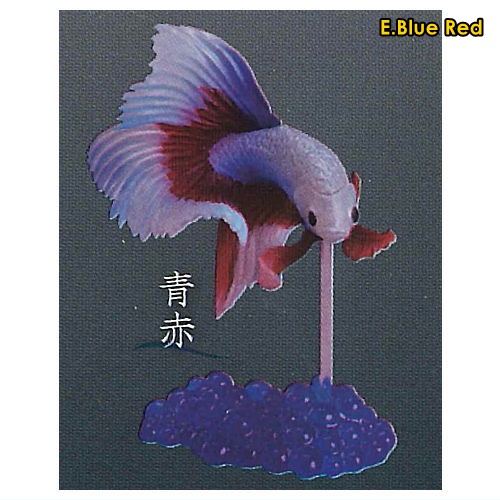 กาชาปองฟิกเกอร์ปลากัด Fighting Fish ~Betta~ 2