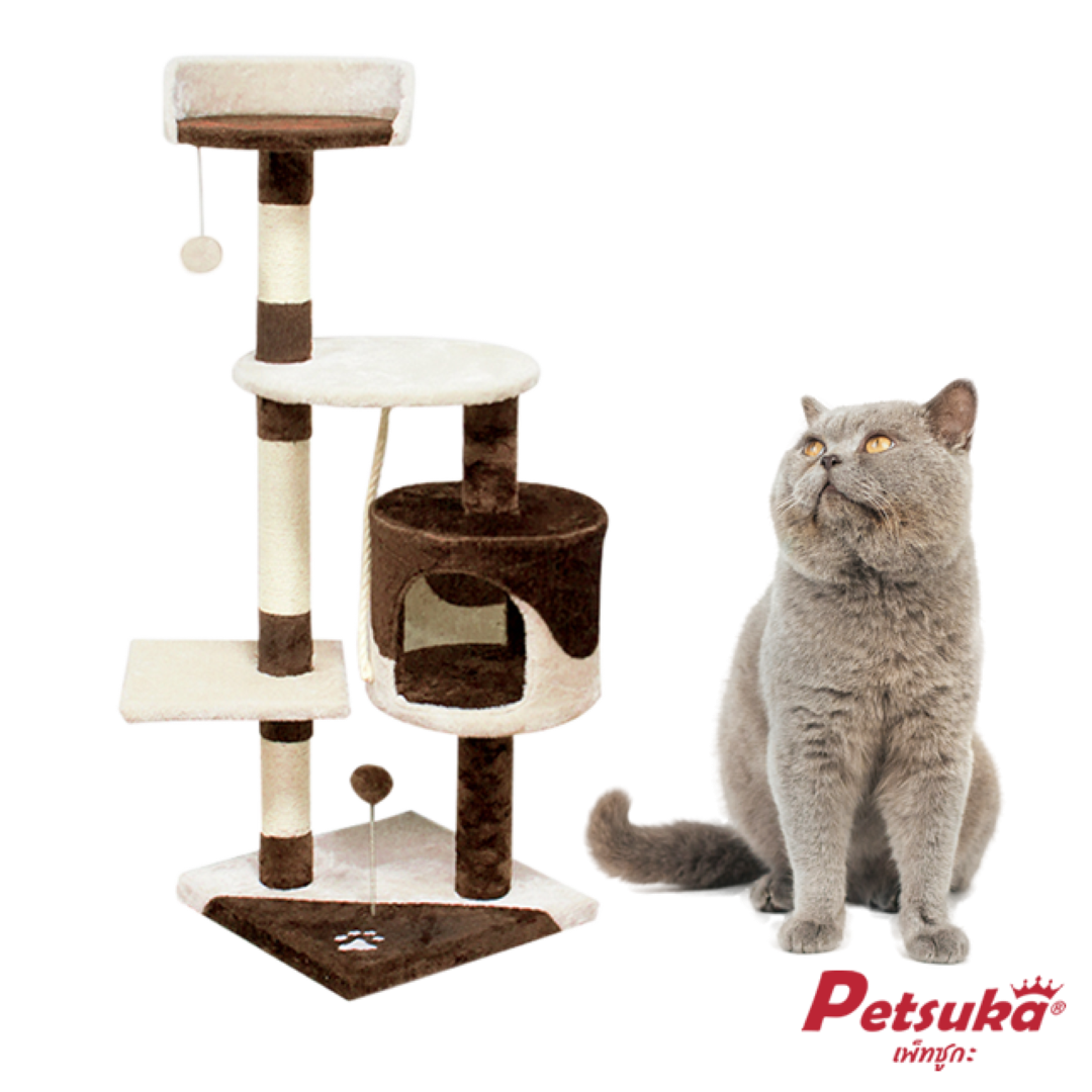 คอนโดแมว Petsuka ความสูง 110 ซม.