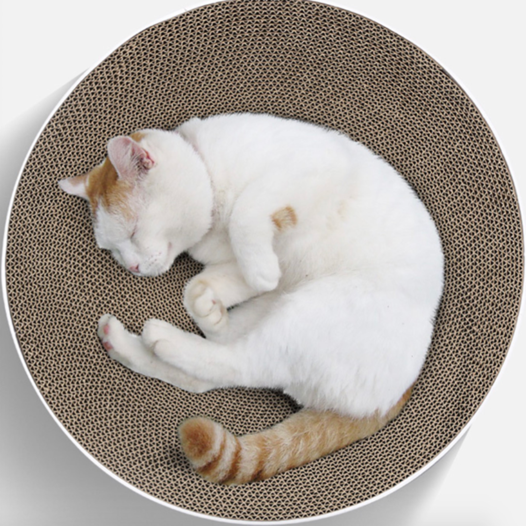 ที่ลับเล็บแมว Petsuka ทรงกลม ลายแมวการ์ตูน สีขาว