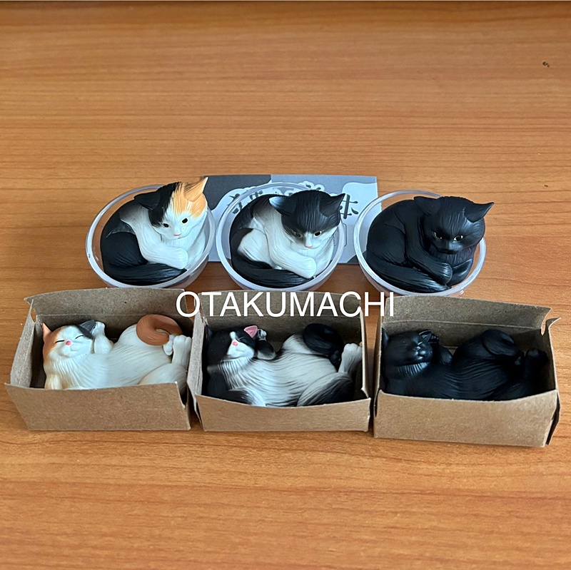 กาชาปองน้องแมว Cat is Liquid