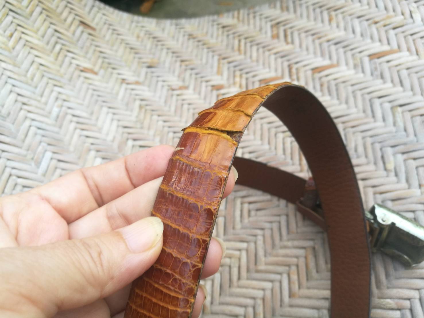 เข็มขัดหนังจรเข้แท้