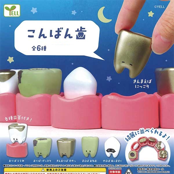 กาชาปองโมเดลฟัน Good Evening Teeth