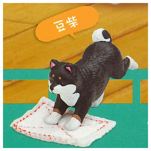 กาชาปองฟิกเกอร์น้องหมาถูพื้น V2