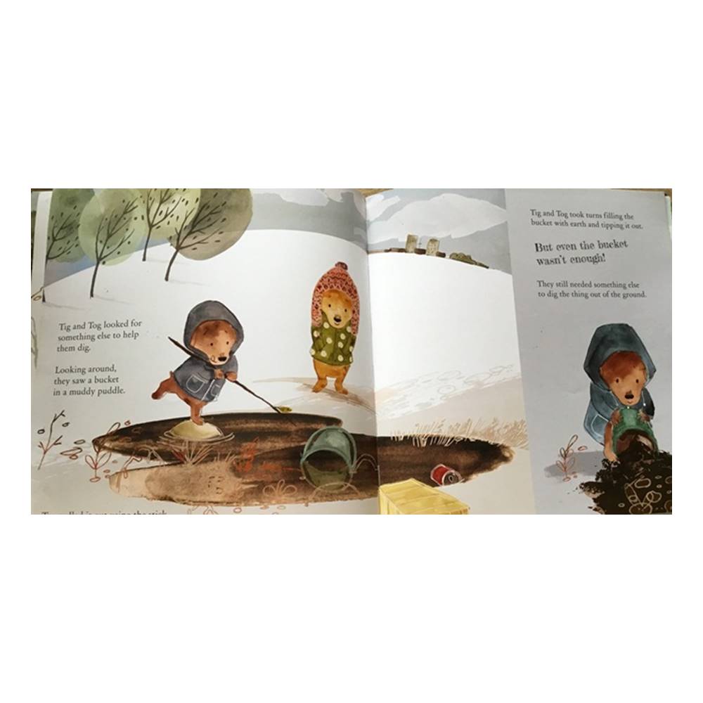 Animal Adventure 4 Books Collection : Big City Kitty + Tig & Tog The Discovery + Tiny Whale + The Noisy Foxes เซตนิทานสอน Life Lessons 4 เล่ม