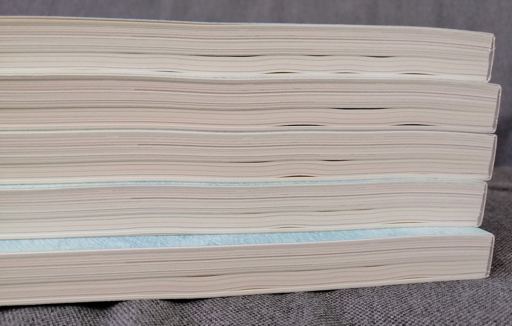 BECOMING A BUTTERFLY การเดินทางของผีเสื้อหลากสี (**มีตำหนิ** โปรดอ่านรายละเอียด **สำคัญมาก**)