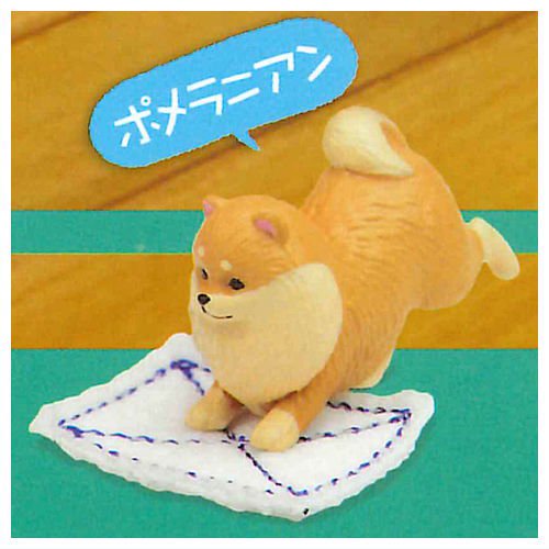 กาชาปองฟิกเกอร์น้องหมาถูพื้น V2