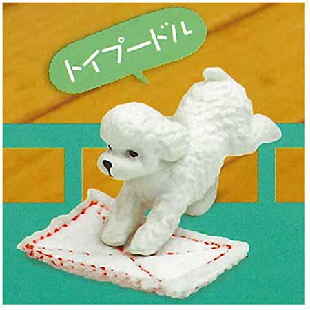 กาชาปองฟิกเกอร์น้องหมาถูพื้น V2