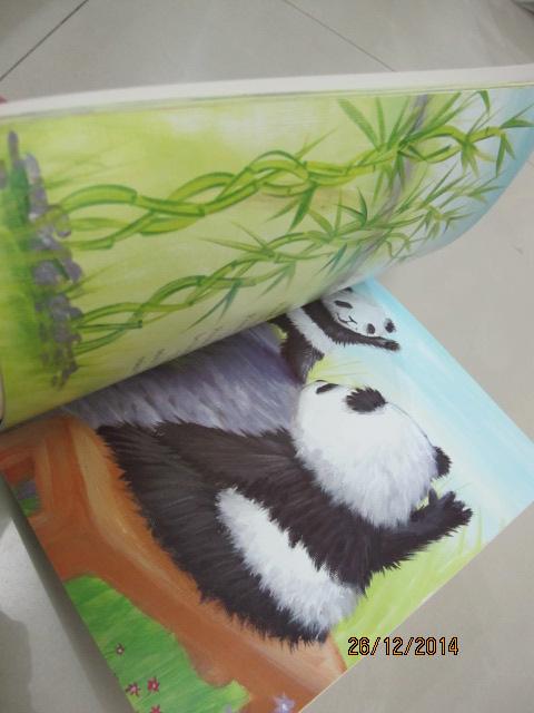 Lucky Bamboo ต้นไผ่นำโชค