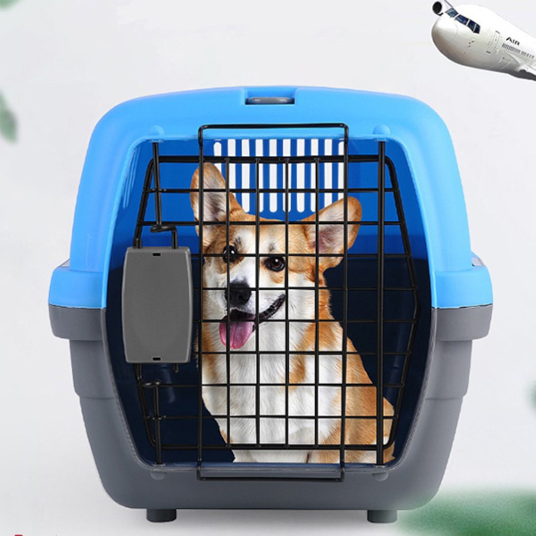 กล่องใส่สัตว์เลี้ยง Petsuka Pet Cage กรงหิ้วสำหรับเดินทาง สีฟ้า