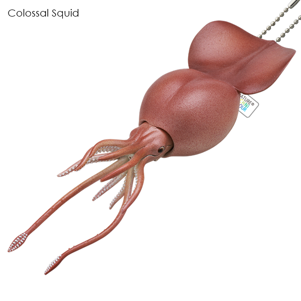 กาชาปอง NTC Deep Sea Creatures Magnet & Ball Chain 2