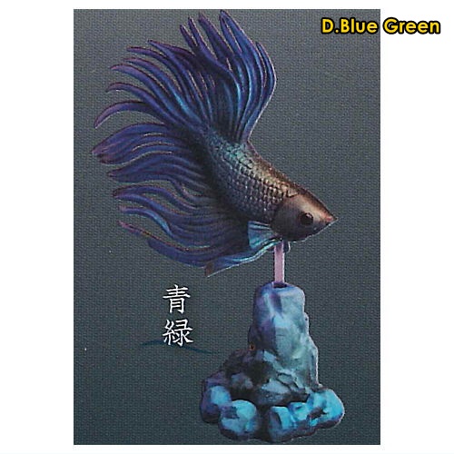 กาชาปองฟิกเกอร์ปลากัด Fighting Fish ~Betta~ 2