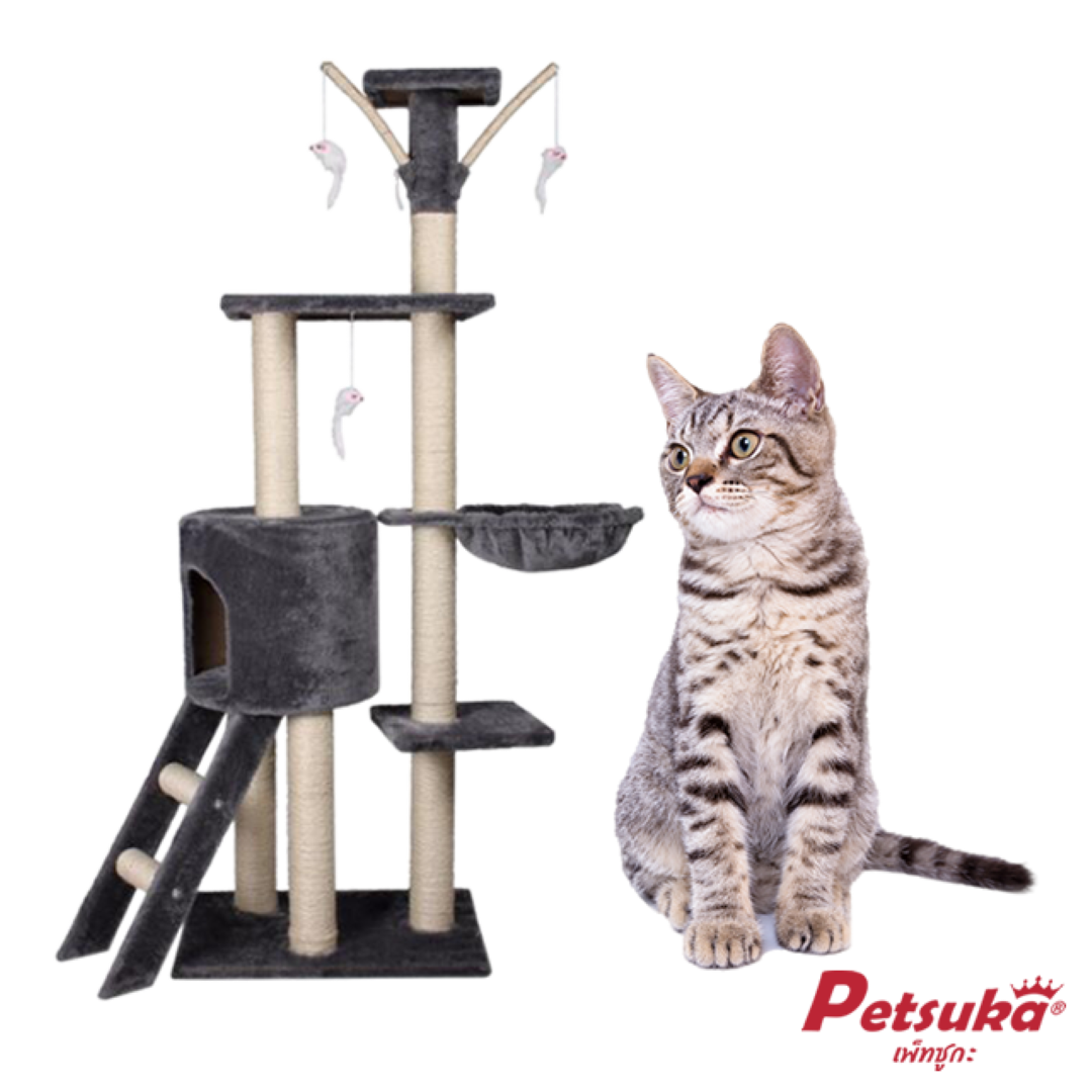 คอนโดแมว Petsuka ความสูง 140 ซม.