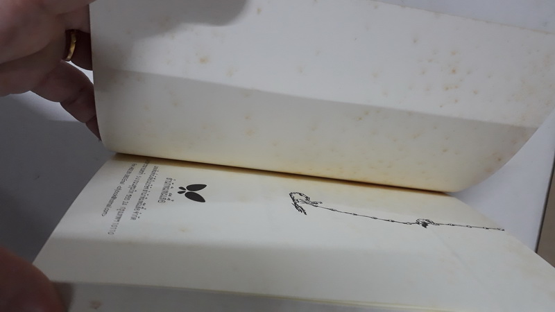 ฅนตัวจิ๋ว (The Borrowers) (The Borrowers #1)