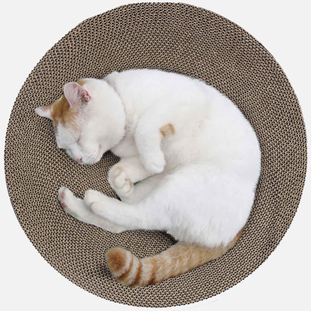 ที่ลับเล็บแมว Petsuka ทรงกลม ลายแมวการ์ตูน สีชมพู