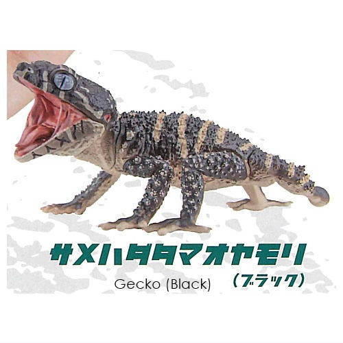 กาชาปองฟิกเกอร์ตุ๊กแกและอะมาดิลโล่ Animalier Collection 1/1 Tamao Gecko & Armadillo Lizard