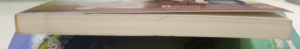 เจ้าบุญหลง